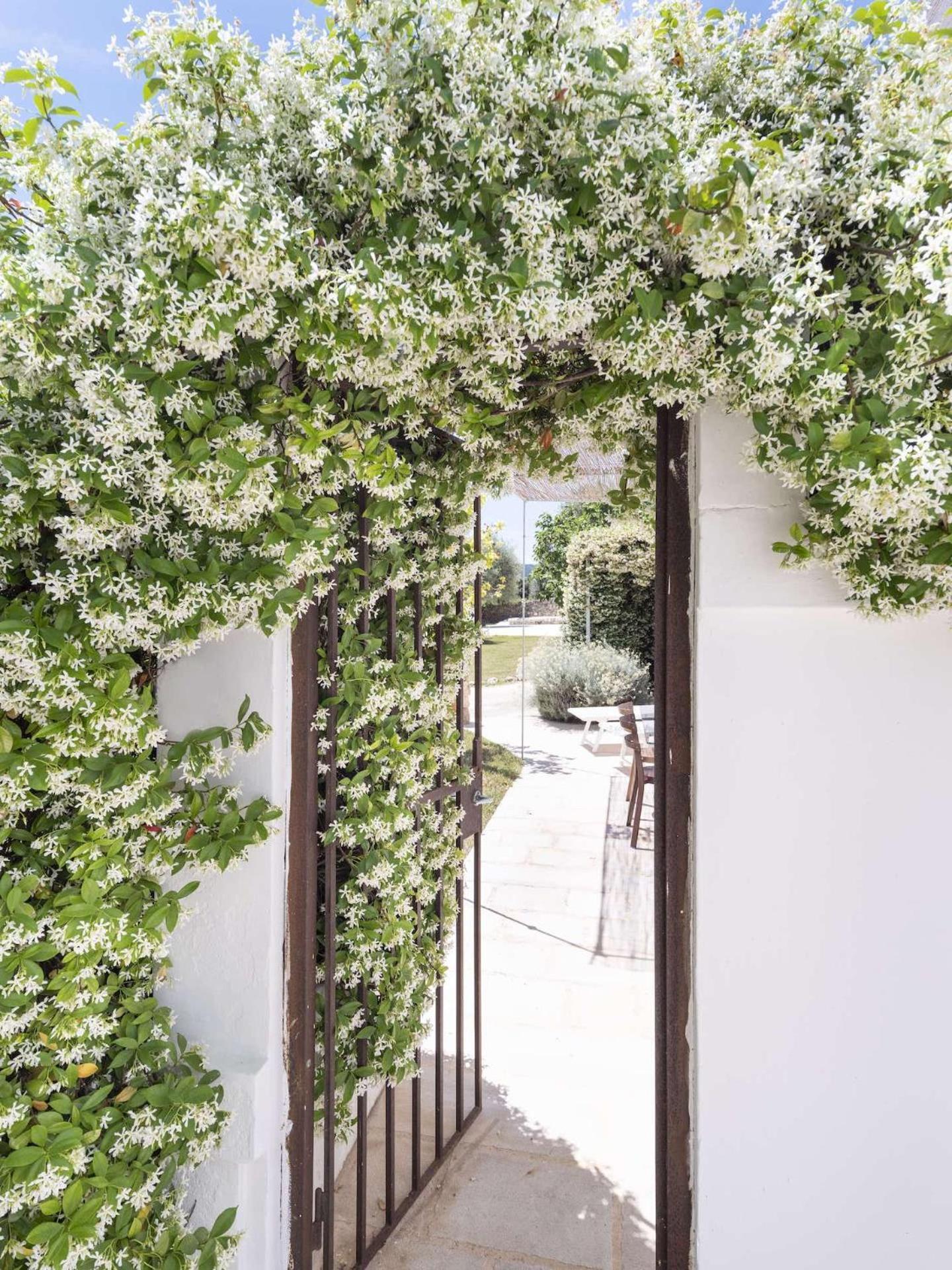 Masseria Alchimia Fasano Exterior photo